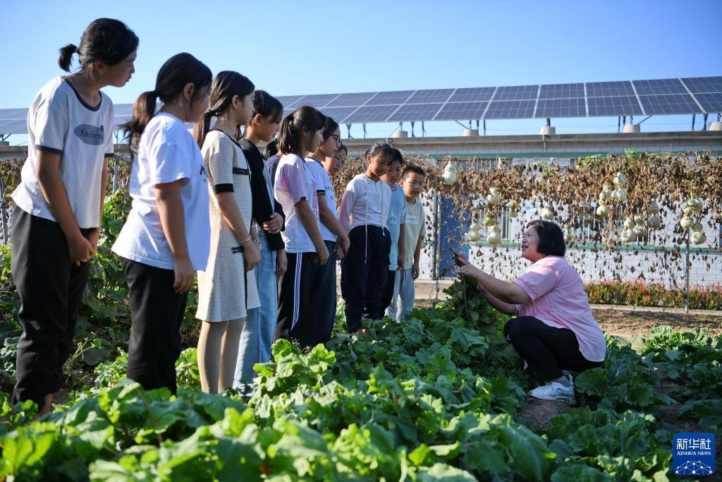 皇冠游戏名